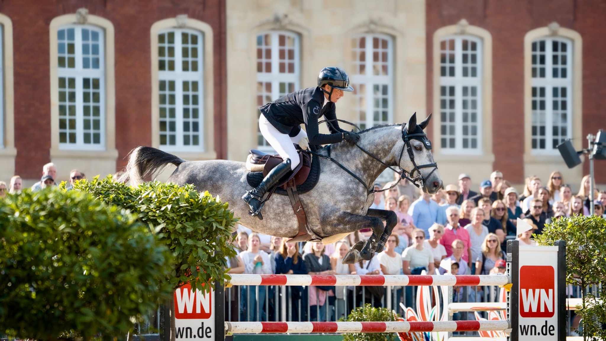 Reitsport & Events